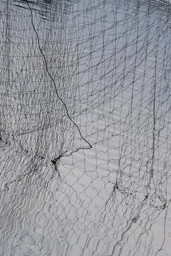 Abstract views of protective nets against birds on fish ponds Stock Photos