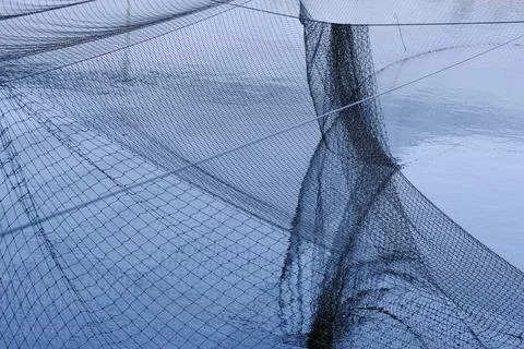 Abstract views of protective nets against birds on fish ponds Stock Photos