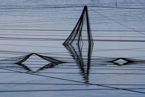 Abstract views of protective nets against birds on fish ponds Stock Photos
