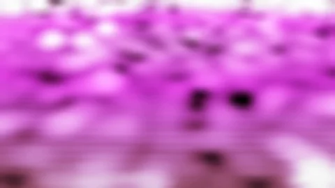 Abstract violet cg motion waving animated background Stock-Footage 128625859
