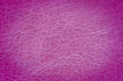 Abstract violet leather closeup texture background. Stock Photos