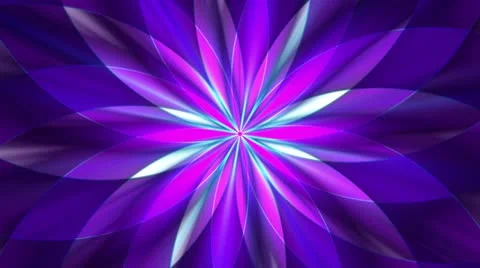 Abstract violett purple floral pattern effect Stock Footage 11639199