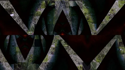 Abstract Visual - Background plant, Dark Stock Footage 148516320