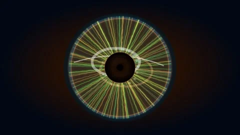 Abstract visual of circular patterns with lines and shapes Stock Footage 337073412
