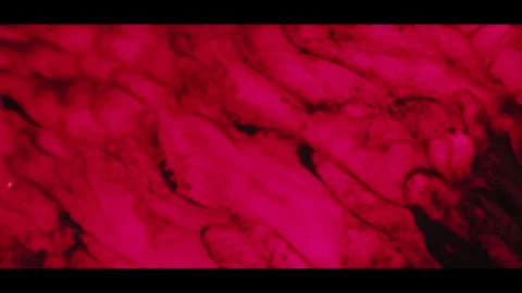 Abstract visual exploration of vibrant textures in deep red tones Video stock 320417549