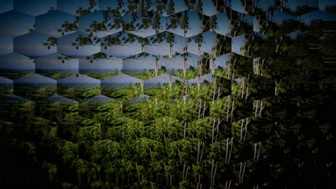 Abstract Visual Stock Footage 148281360