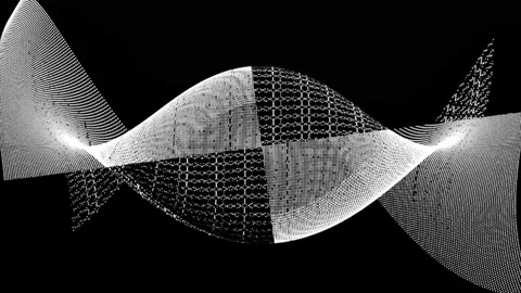 Abstract visual patterns create mesmerizing shapes in black and white animati 스톡 동영상 333446023