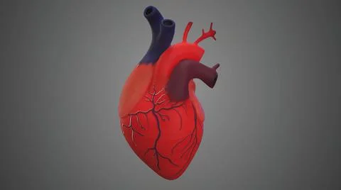 Abstract visualization of the heart on a gray background Stockillustratie