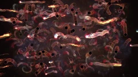Abstract Visualization of Microbial Organisms in a Dynamic Environment Stock Footage 310550241