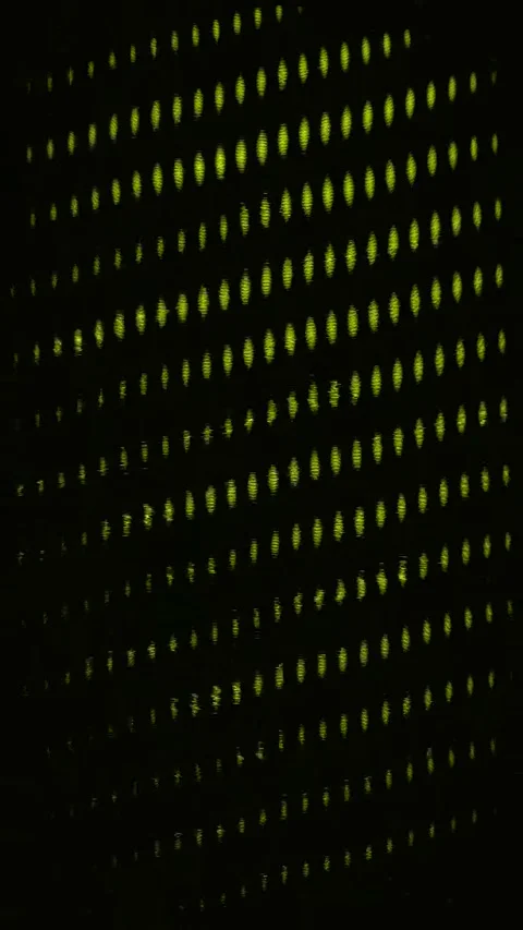 Abstract VJ Glitch 4K Vertical — Digital Distortion Background Stock Footage 329848742