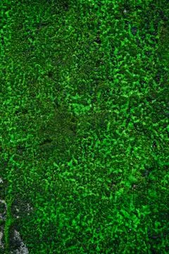 Abstract wall background Stock Photos