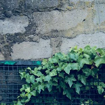 The abstract  wall texture pattern Stock Photos