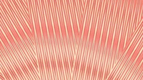 Abstract wallpaper 4k Vídeos de archivo 293166330