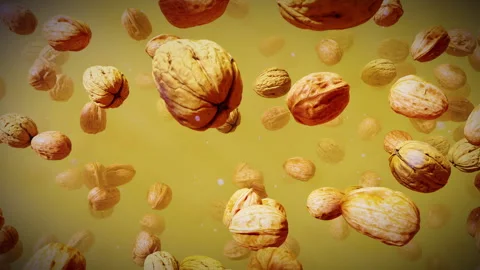 Abstract Walnuts Swirling In Mist Stock Footage 343705713