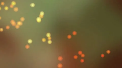 Abstract Warm Bokeh Lights with Soft Glowing Circles Background Stock Footage 332039299