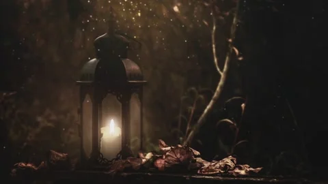 Abstract warm lantern candle glowing in a dark forest. Halloween Background. Stock Footage 318782005