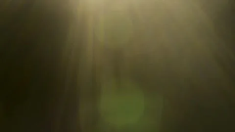 Abstract warm lens flare and golden light leaks on black background Stock Footage 345960773