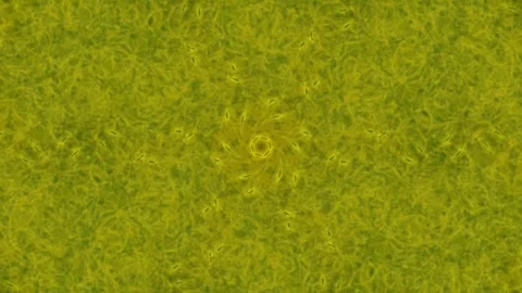 Abstract warm orange gradient texture background for creative design Stock Footage 336880794