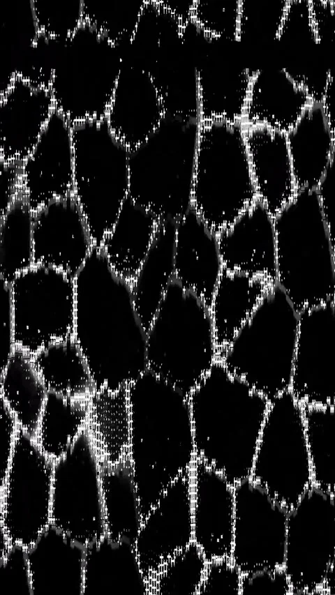 Abstract Warp Noise Loop Portrait Stock Footage 331094265