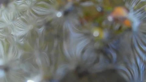 Abstract water and nature pattern background in slow mo Stock Footage 332771929