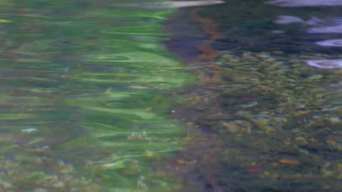 Abstract water background Stock Footage 106053992