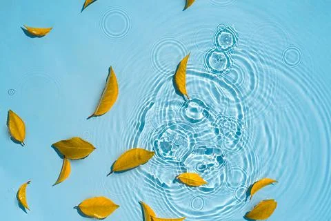 Abstract water background with leaf fall, to copy space Autumn and rain concept Foto stock