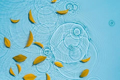 Abstract water background with leaf fall, to copy space Autumn and rain concept Stock Photos