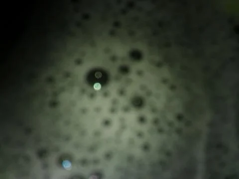 Abstract water with bubbles background with different elements in a blur effe Foto stock