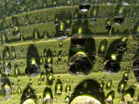Abstract Water Droplets Pattern Lit by Camera Flash Stock Photos