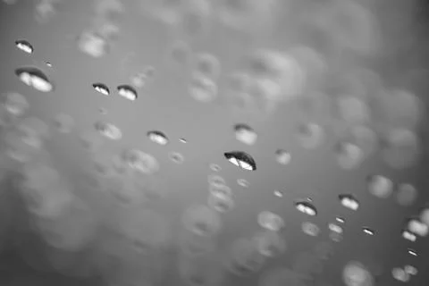 Abstract water drops on plain background, black and white photography Stock Photos
