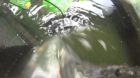 Abstract Water Feature POV Stock Footage 36806581
