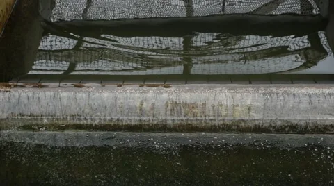 Abstract water in a fish hatchery Видео 56709425