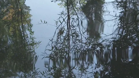 Abstract water mirroring 動画素材 113630415