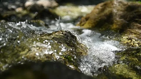 Abstract water from a mountain stream in summer sunglight (slow motion) 스톡 동영상 260836371