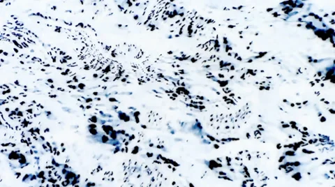 Abstract water pattern Video stock 38461611