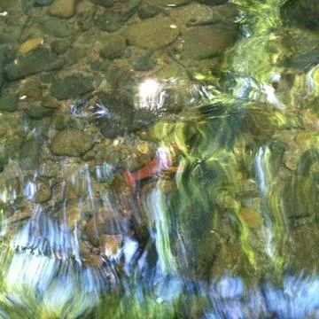 Abstract water Stock Photos