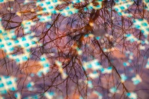 Abstract water reflection displaying bare tree branches and a dynamic pattern Stock Photos