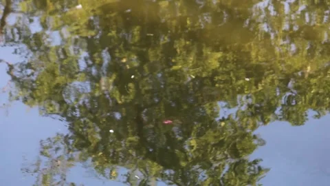 Abstract Water reflection Video stock 340001705