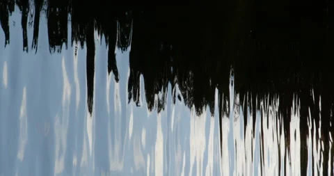 Abstract water reflection loop vertical Stock Footage 205818005