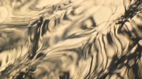 Abstract Water Reflections 37 Video stock 39366935