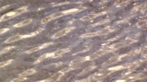 Abstract Water Reflections 6 Video stock 39130987