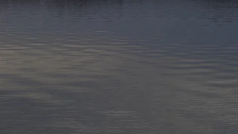 Abstract water reflections Stock Footage 144683002
