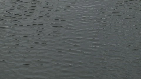 Abstract Water Rippling in a Pond, Camera Pans across Stock Footage 185102977