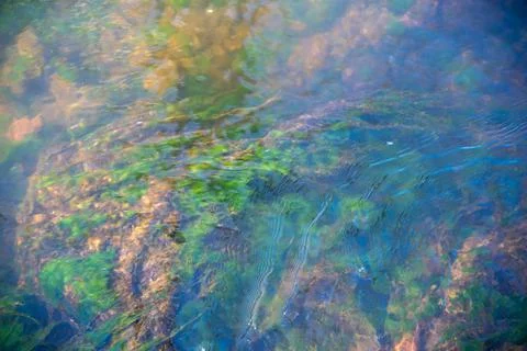 Abstract water surface flowing stream with green plants and blue sky reflected Stock Photos