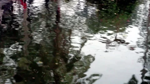 Abstract water surface reflection shows distorted shapes of surrounding trees Stock Footage 324978386