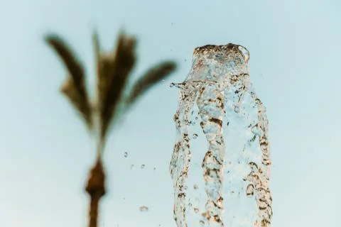Abstract water wave drop in motion with palm tree and blue sky background Stock Photos