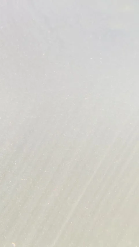Abstract water white textured background with soft, subtle diagonal lines. Stock Footage 312898201