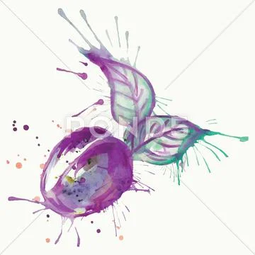 Abstract watercolor painting plum fruit Stock Illustration