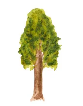 Abstract watercolor tree Stock Illustration