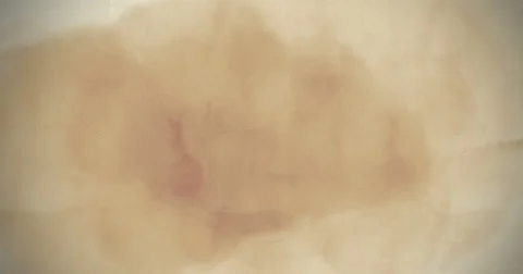 Abstract Watercolour Background Vídeo Stock 67297254